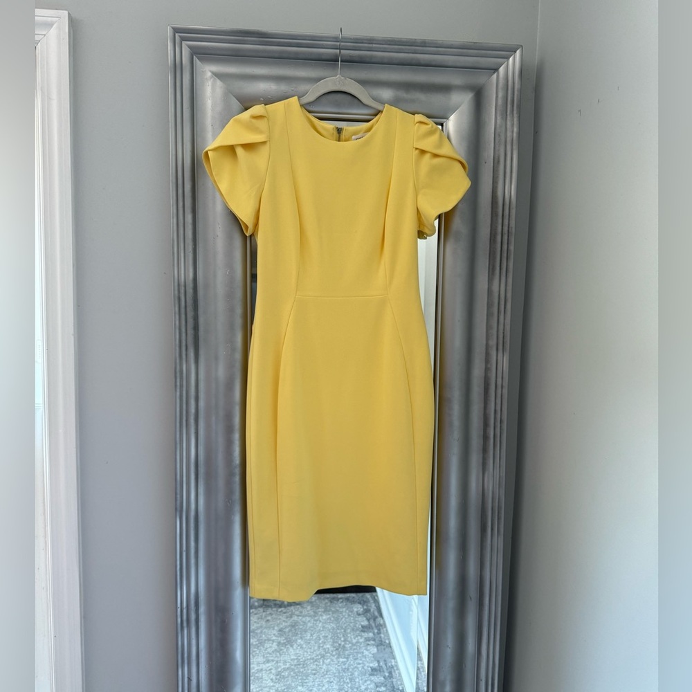 Calvin Klein dress- only work once. Yellow with cap sleeves, very flattering!